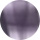 Purple-Tortoiseshell