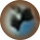 Brown-Blue/Tortoiseshell