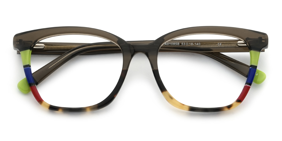 Brown Tortoiseshell Santos Glasses - Rectangle Glasses