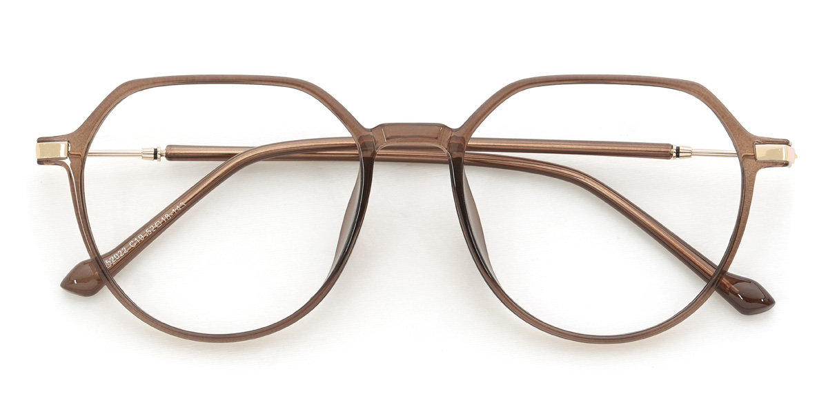 Brown Enrique Glasses - Oval Glasses
