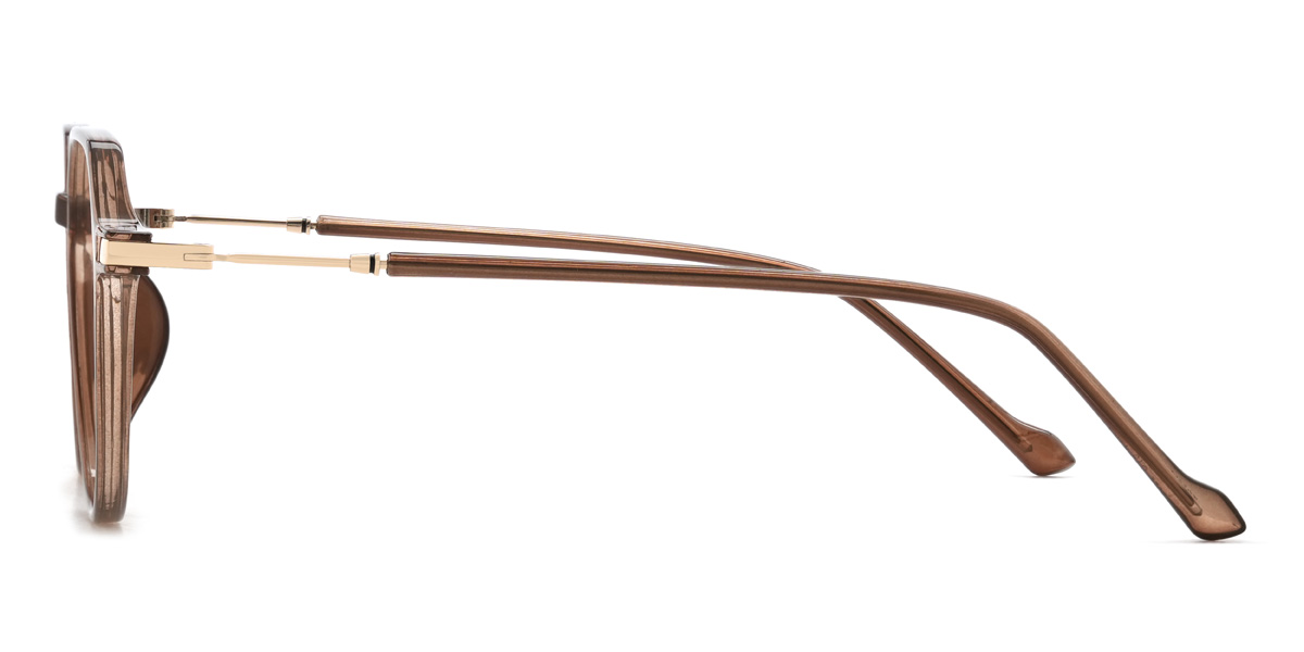 Brown Enrique Glasses - Oval Glasses