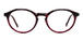Purplish/Red-Tortoiseshell