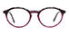 Purple/Tortoiseshell