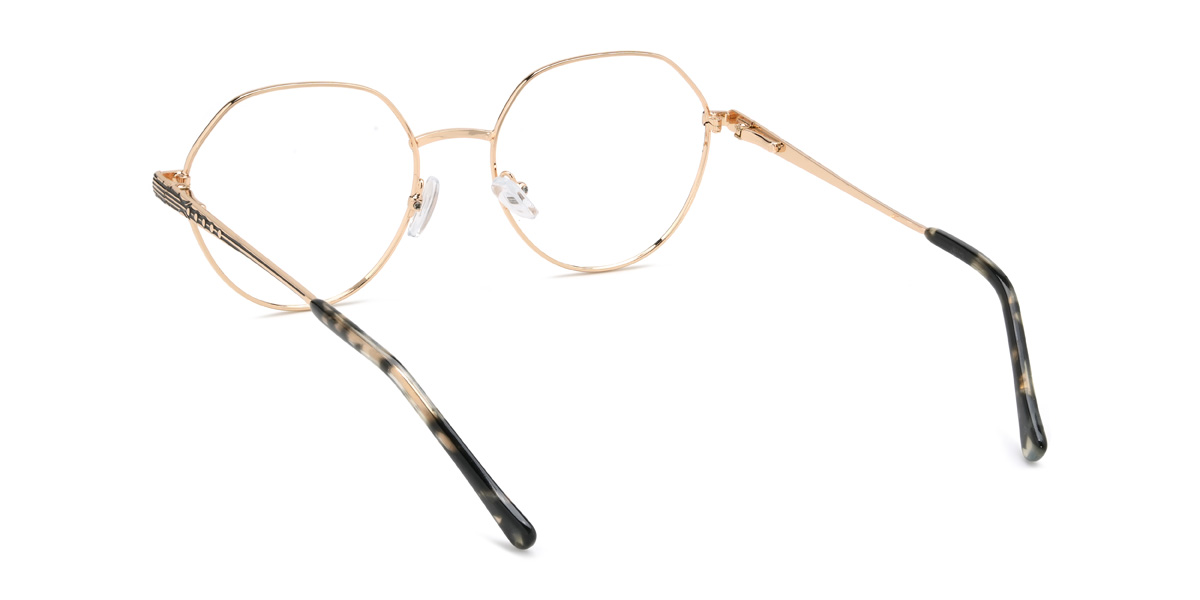Preto Preto Casco de Tartaruga Princeton Óculos - Oval Glasses