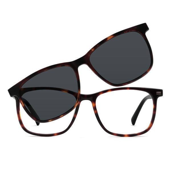 Tortoiseshell