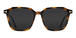 Tortoiseshell/Grey