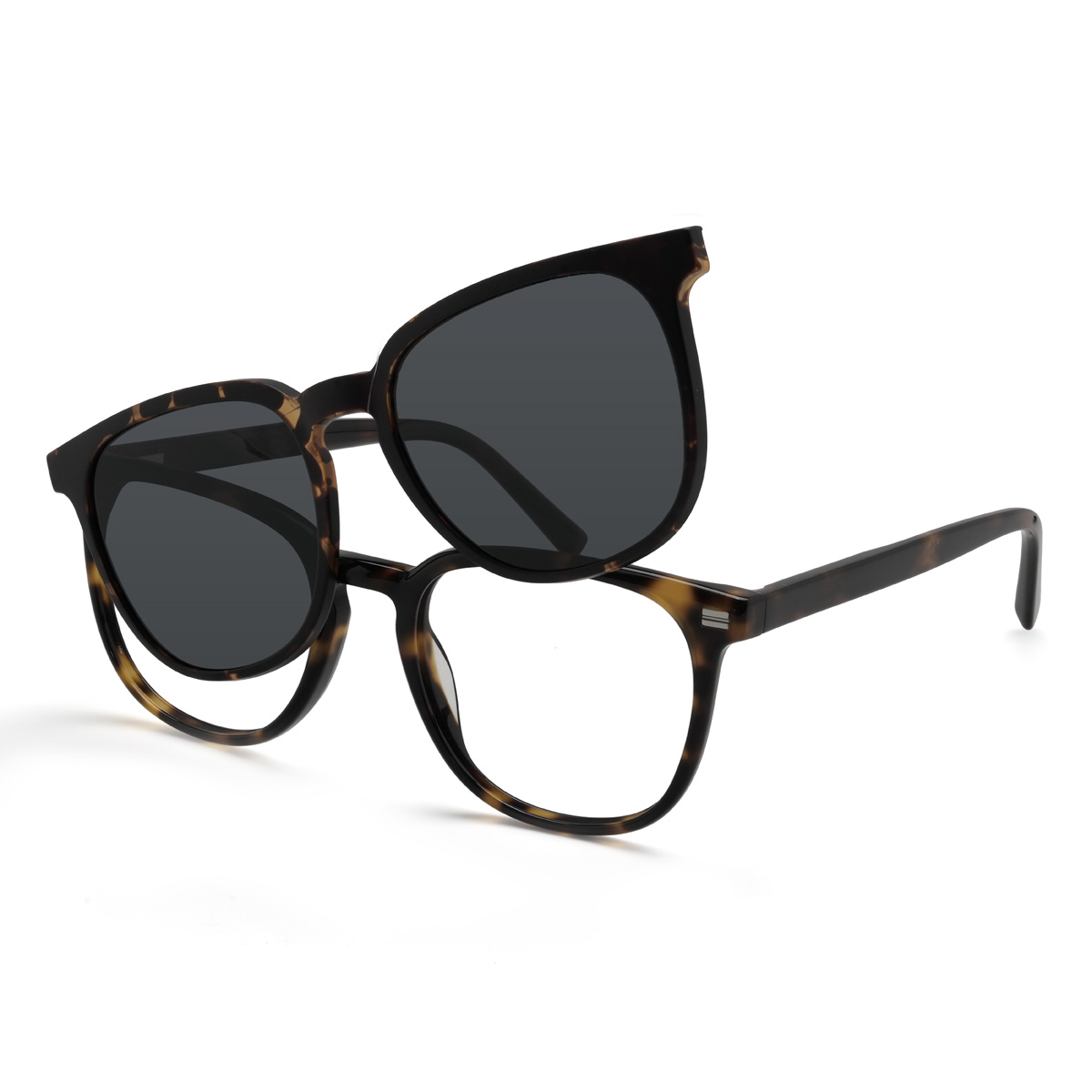 Tortoiseshell