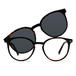 Tortoiseshell