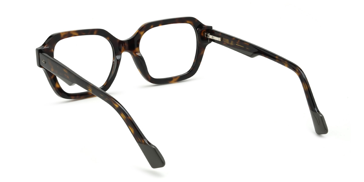 Tortoiseshell Dresner Glasses - Rectangle Glasses