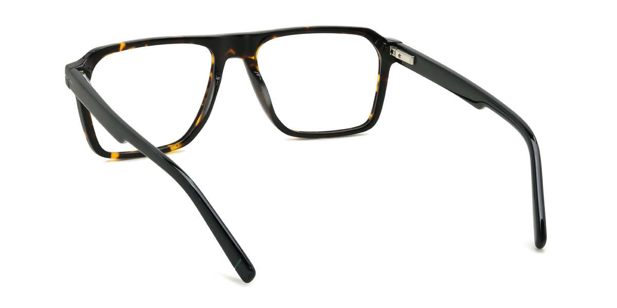 Tortoiseshell Cordes Glasses - Rectangle Glasses