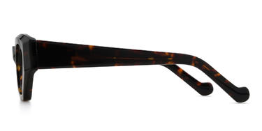 Tortoiseshell Sileidy Glasses - Rectangle Glasses