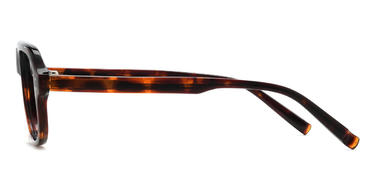 Tortoiseshell Perkins Glasses - Oval Glasses
