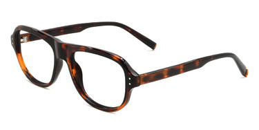 Tortoiseshell Perkins Glasses - Oval Glasses