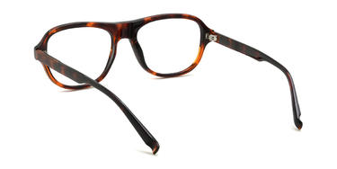 Tortoiseshell Perkins Glasses - Oval Glasses