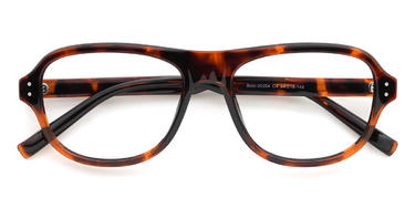 Tortoiseshell Perkins Glasses - Oval Glasses