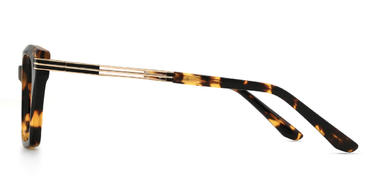 Tortoiseshell Joaquin Glasses - Rectangle Glasses