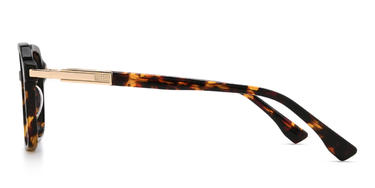 Tortoiseshell Waite Glasses - Aviator Glasses